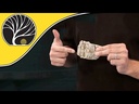 youtube - [Video]