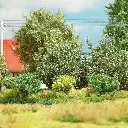 BU3601-photo_3.webp