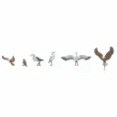 6 oiseaux sauvages - Faller 151931 - HO 1/87