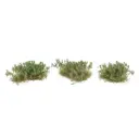 Grappes de fleurs, vert foncé - Faller 171381 - Échelle universelle