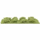 8 Micro-Arbustes, printemps - Busch 3601 - HO, N, TT