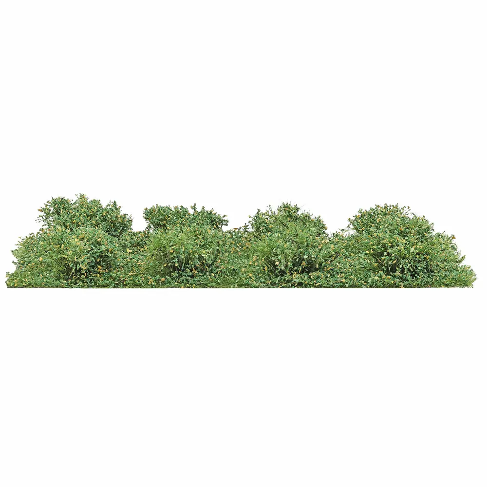 8 Micro Arbustes, fin de l´été - Busch 3603 - HO, N, TT