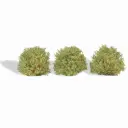3 buissons, printemps - Busch 3606 - HO 1/87