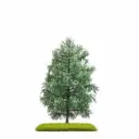 Sapin 140 mm - Busch 3802 - HO, TT