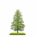 Mélèze 140 mm, été - Busch 3812 - HO, TT