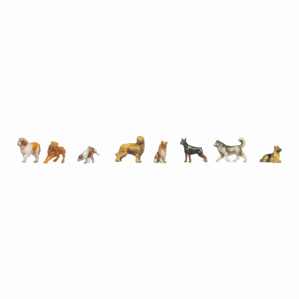8 chiens - Noch 35760 - N 1/160