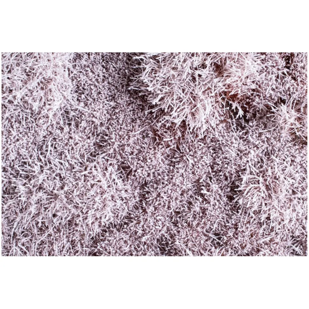 Arbustes enneigés - Auhagen 70903