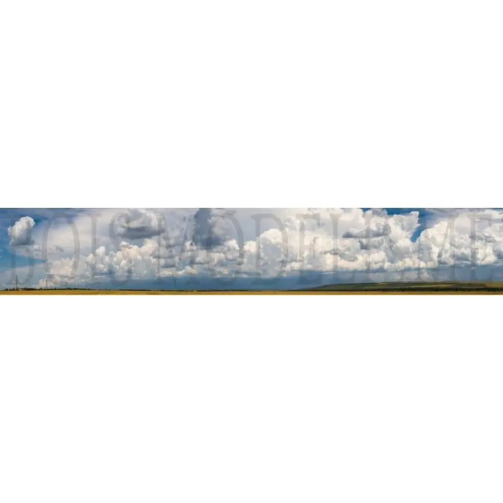 Fond de décor : Champs colorés et ciel chargé