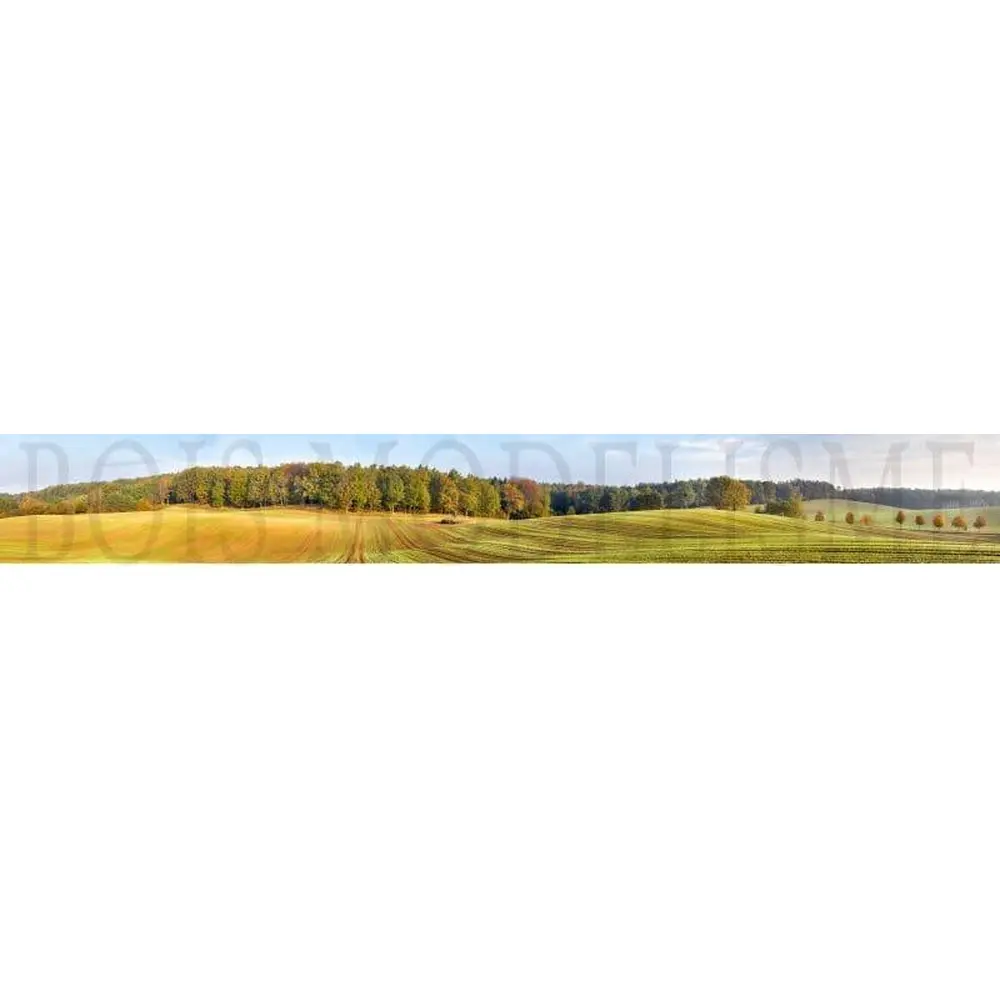 Fond de décor : forêt en automne