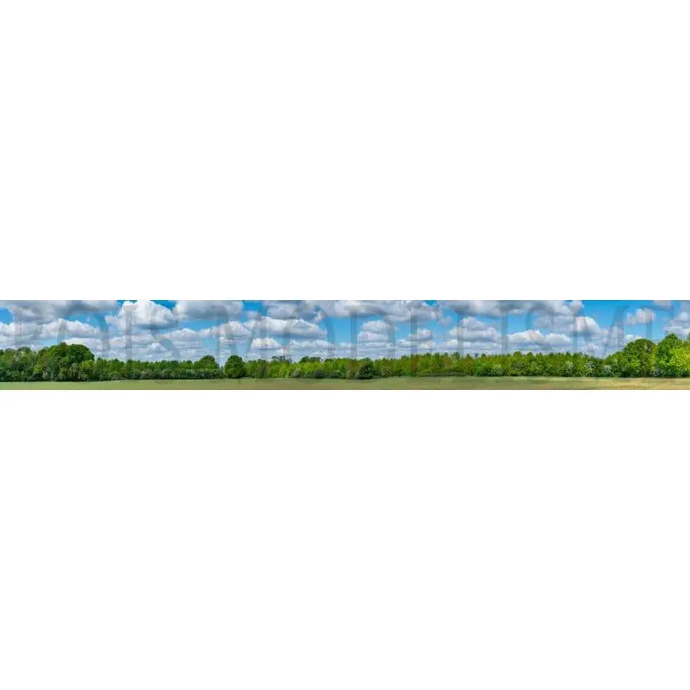 Fond de décor : Forêt sous un ciel bleu - Bois modélisme 901010