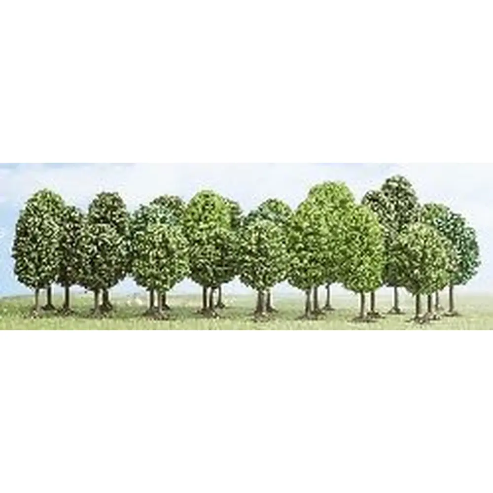 25 arbres à feuilles caduques, 7-12.5 cm