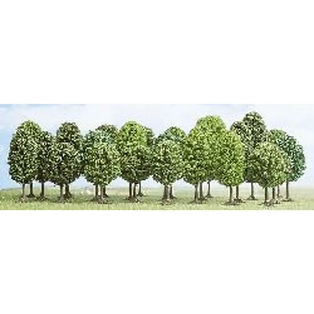 25 arbres à feuilles caduques, 5.5 cm