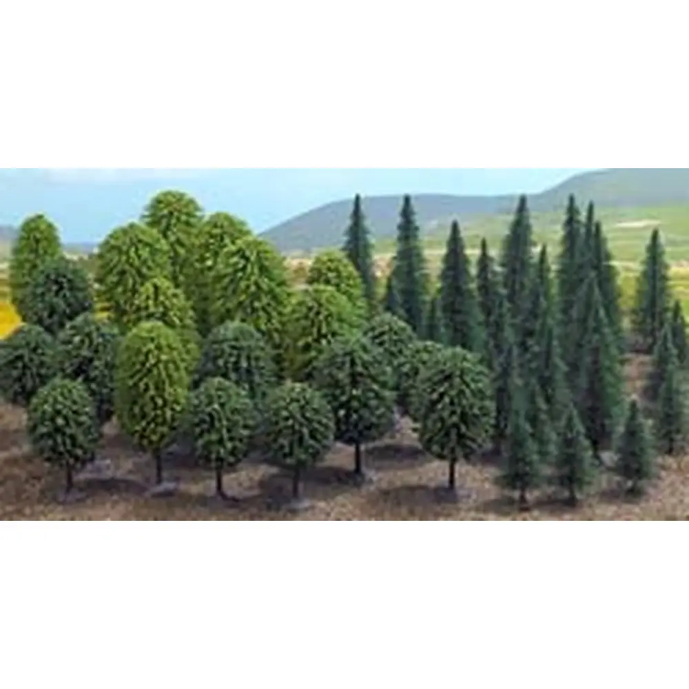 Forêt mélangée avec 50 arbres, 3.5-5.5 cm