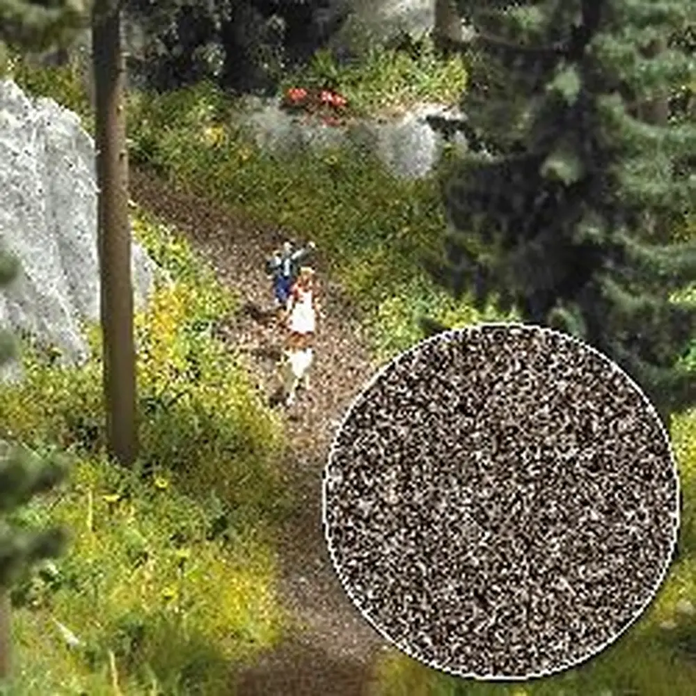 Sentier de la forêt