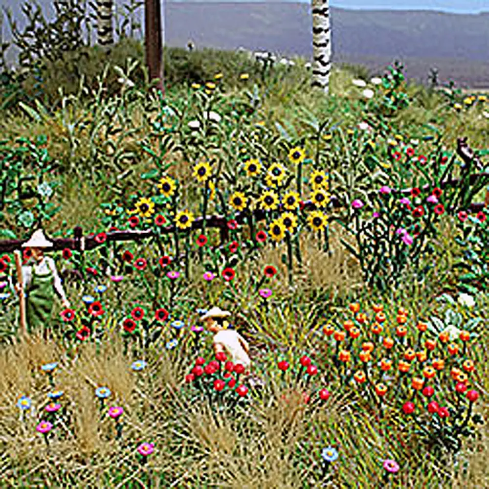 Assortiment de fleurs et plantes