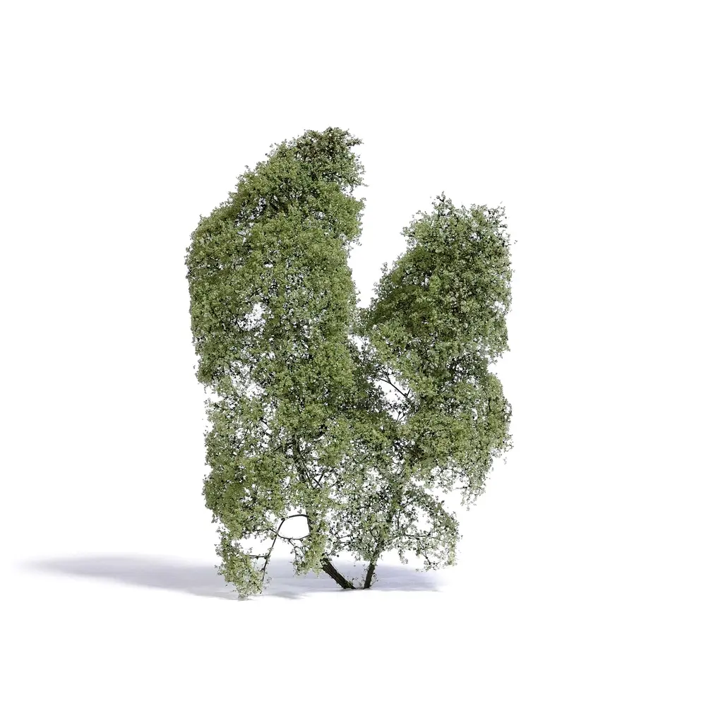Arbre de saison estivale muni de feuilles vertes claires Busch 3581 - N / TT / Z