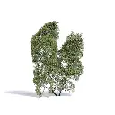 Arbre de saison estivale muni de feuilles vertes claires Busch 3581 - N / TT / Z