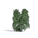 Arbre de saison estivale muni de feuilles vertes foncées Busch 3583 - N / TT / Z