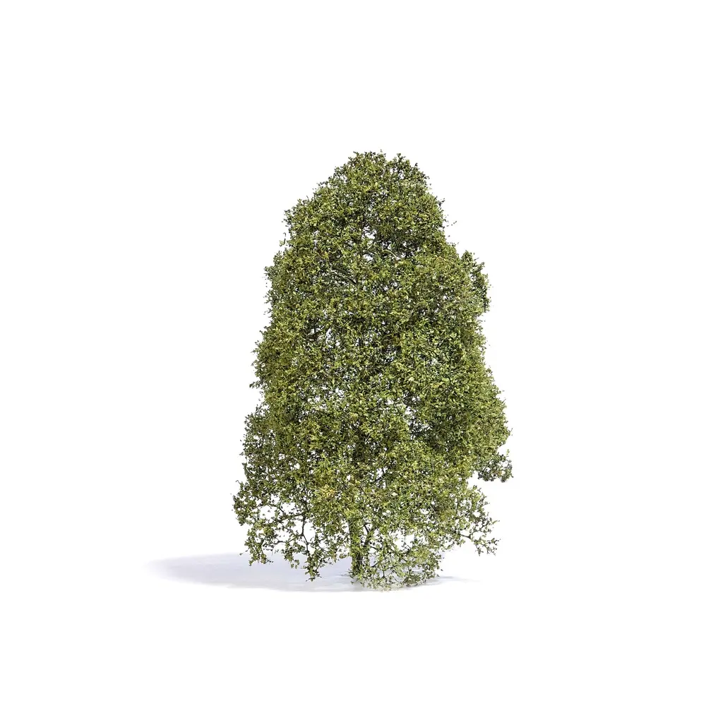 Arbre de saison estivale muni de feuilles vertes claires Busch 3586 - HO 1/87 - O 1/43