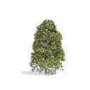 Arbre de saison estivale muni de feuilles vertes claires Busch 3586 - HO 1/87 - O 1/43