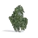 Arbre de saison estivale muni de feuilles vertes foncées Busch 3588 - HO 1/87 - O 1/43