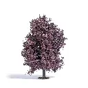 Hêtre de saison printanière muni de feuilles rouges / violets Busch 3725 - HO 1/87