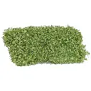 Arbuste de printemps Busch 3596 - HO - 120 x 80 x 35 mm