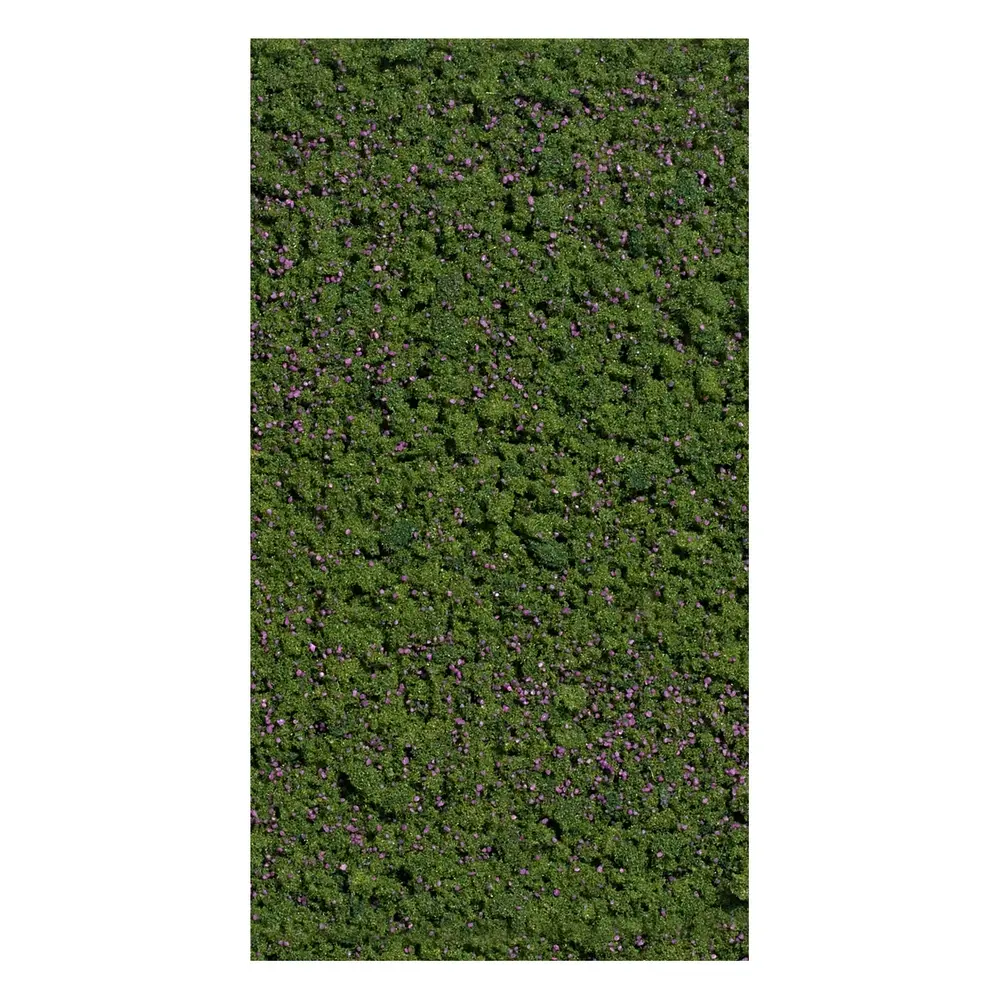 Flocage myrtilles forestières Busch 7348 - HO - 150 x 80 mm