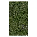 Flocage myrtilles forestières Busch 7348 - HO - 150 x 80 mm