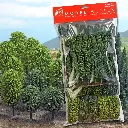 65 Arbres feuillus - Busch 9767 - HO 1/87 - 65 à 120 mm de haut