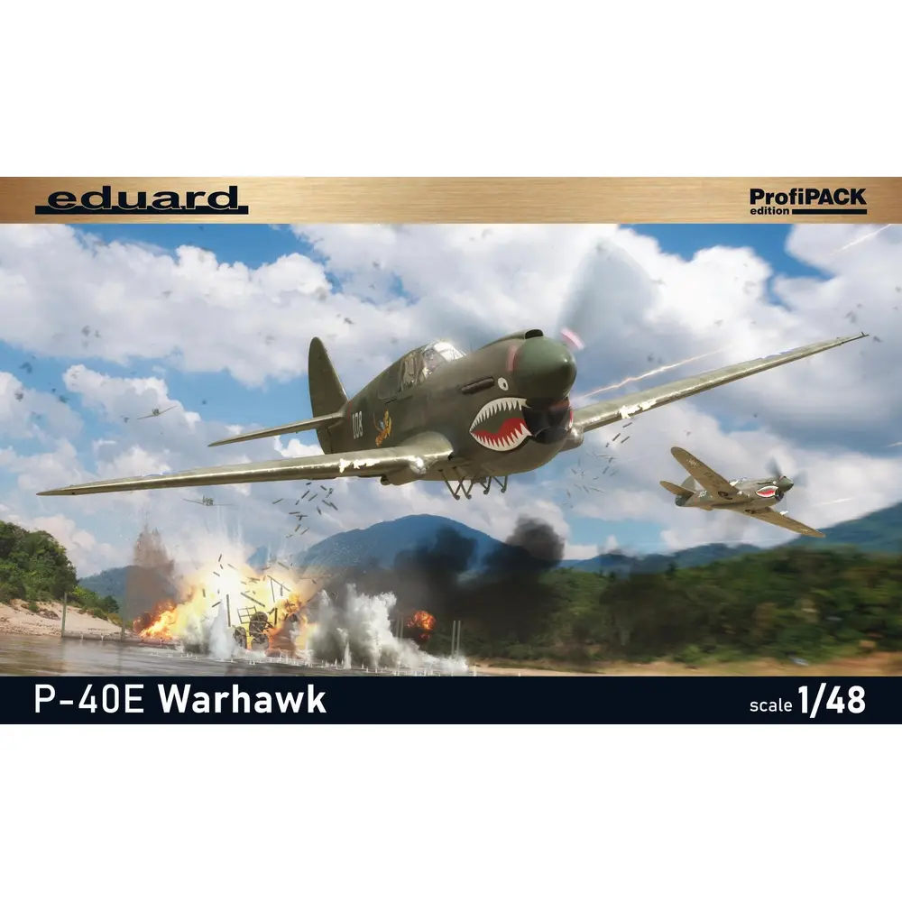 Avion P-40E Warhawk ProfiPack Edition - Eduard Plastic Kits 82241 - 1/48