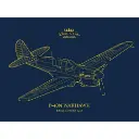 Avion P-40N Warhawk Royal Class Dual Combo - Eduard Plastic Kits 0025 - 1/48