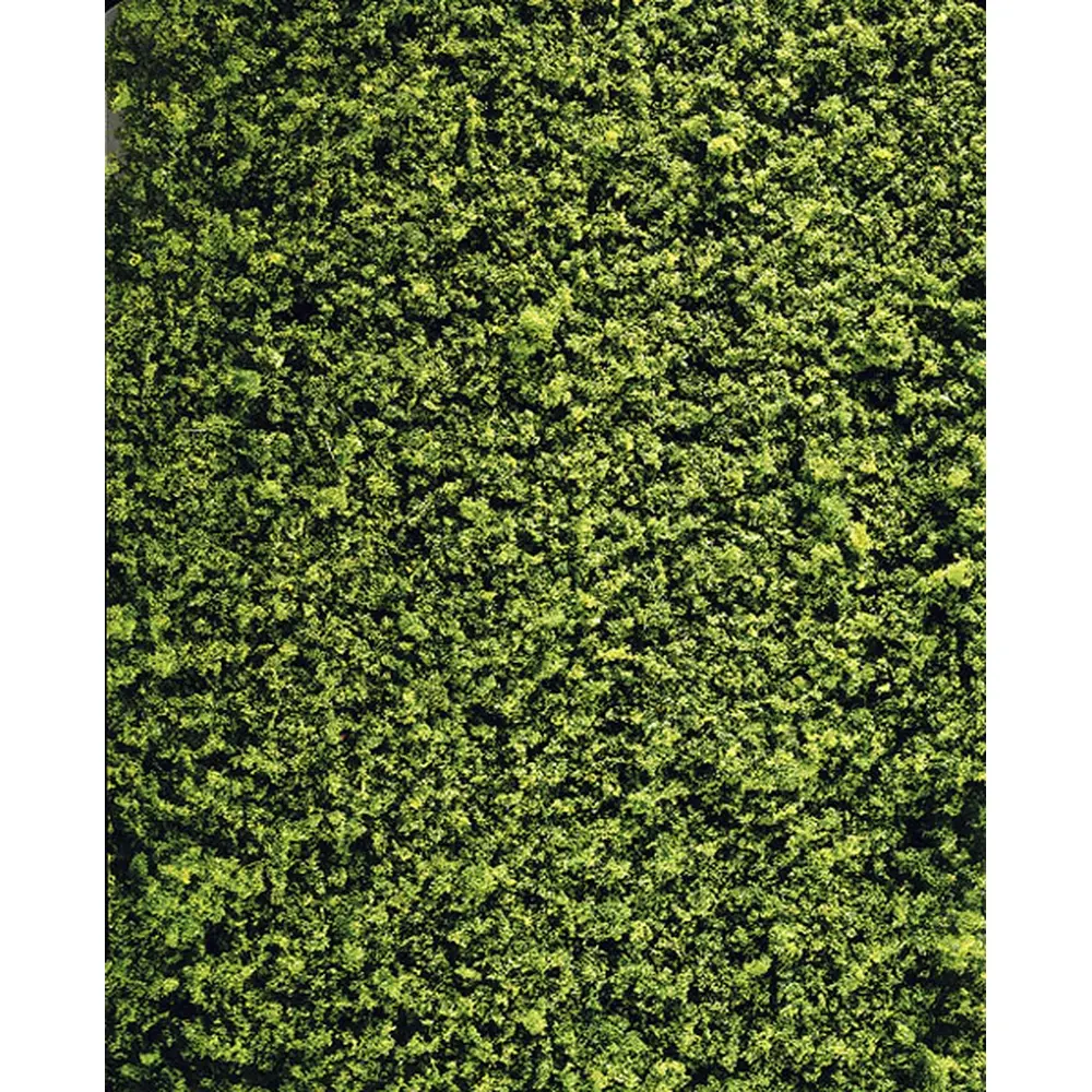 Nappe de feuillaison vert moyen
