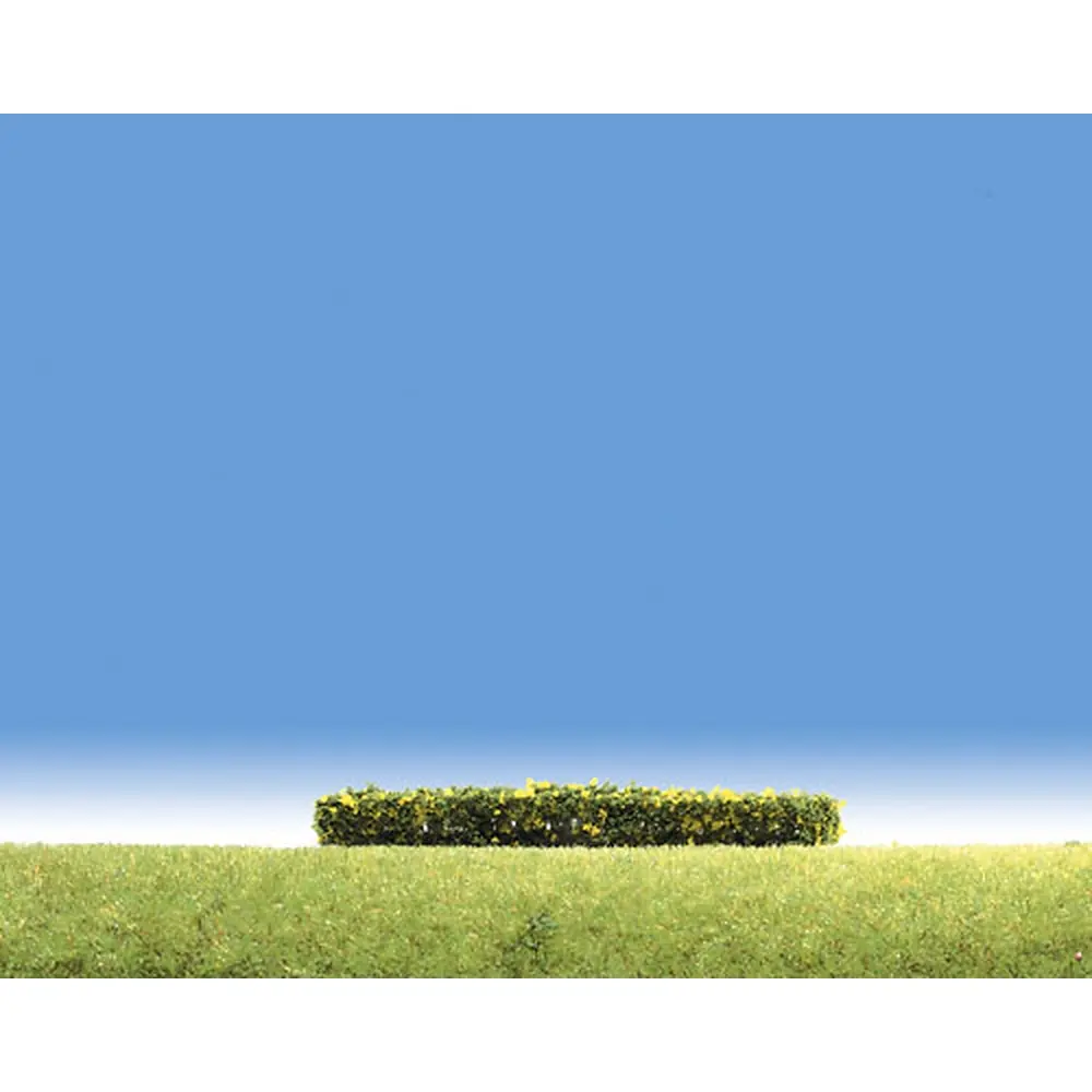 3 haies vertes à fleurs jaunes