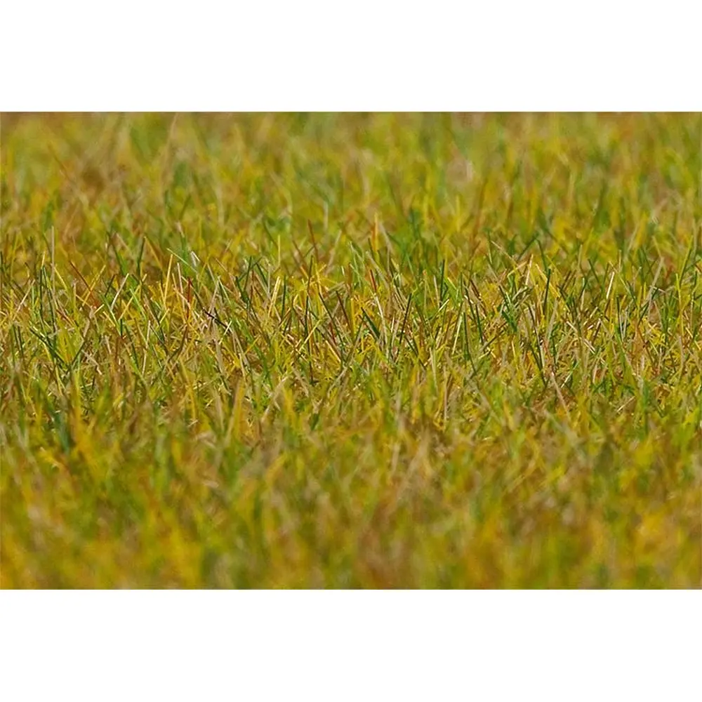 Fibres de flocage PREMIUM, Prairie, longue, vert clair, 30 g