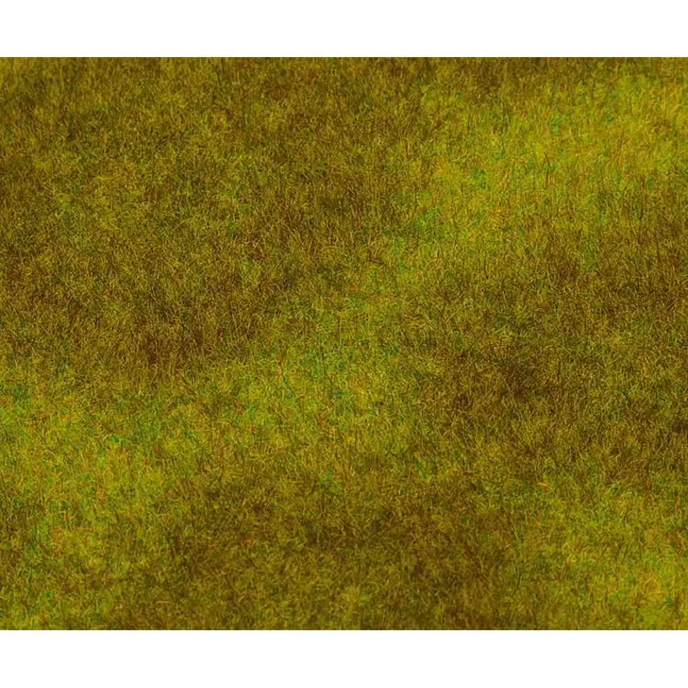 Segment de paysage PREMIUM, Prairie, vert foncé