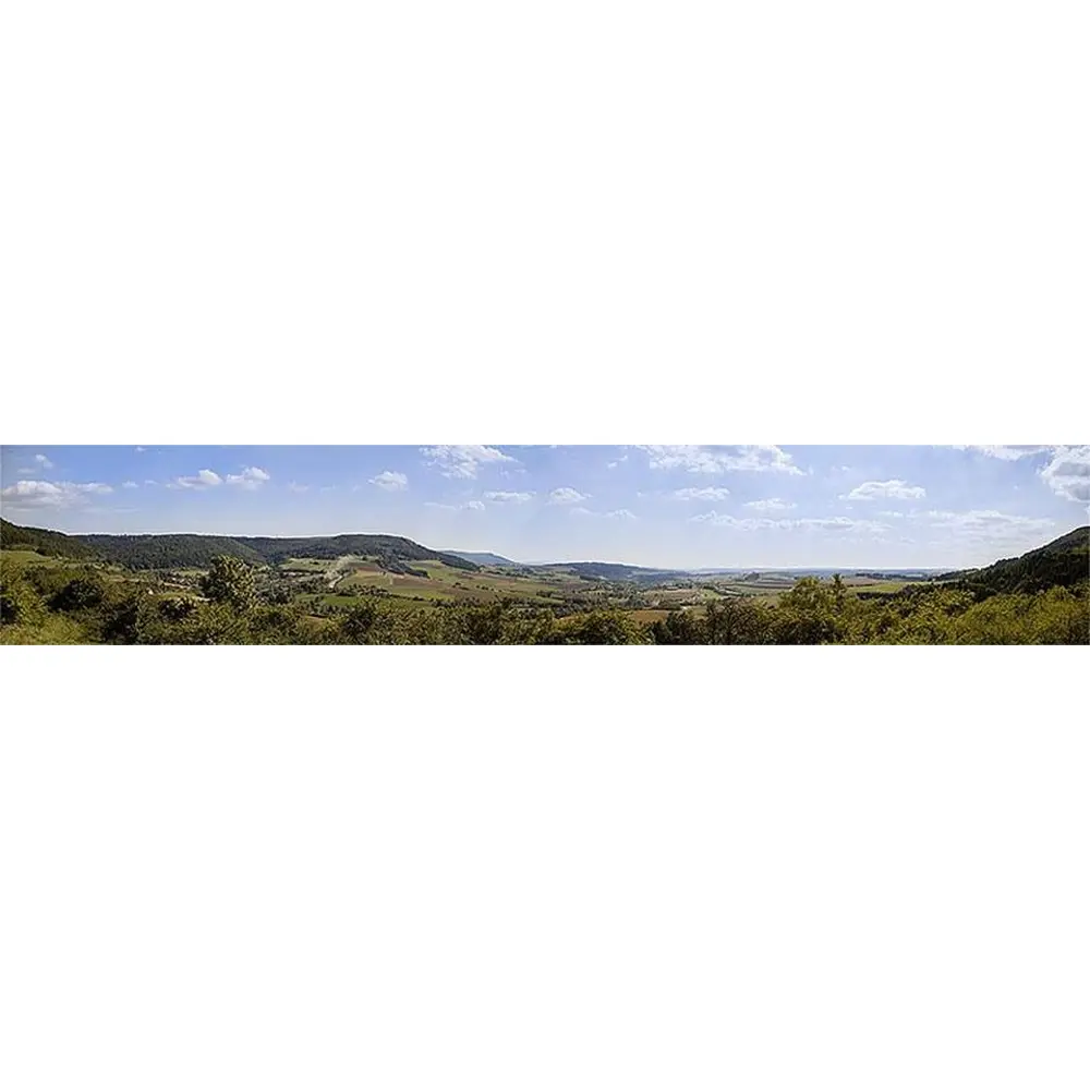 Fond de décor Forêt Noire pour le Modélisme Ferroviaire - Faller 180800