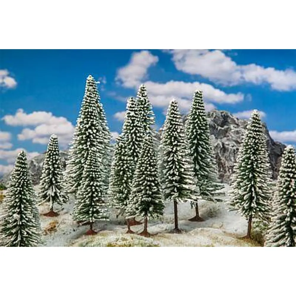 Lot de 18 sapins d'hiver de 100 à 140 mm