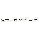 Lot de 8 vaches blanches tachetées noires - Faller 151903 - N 1/160