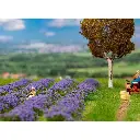 Champ de lavande - Faller 181279 - HO 1/87 - 175x125x11 mm