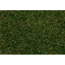 Fibres de flocage herbes sauvages, vert foncé, 4 mm, 80g FALLER 170233