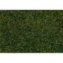 Fibres de flocage herbes sauvages, vert foncé, 4 mm, 30g FALLER 170208