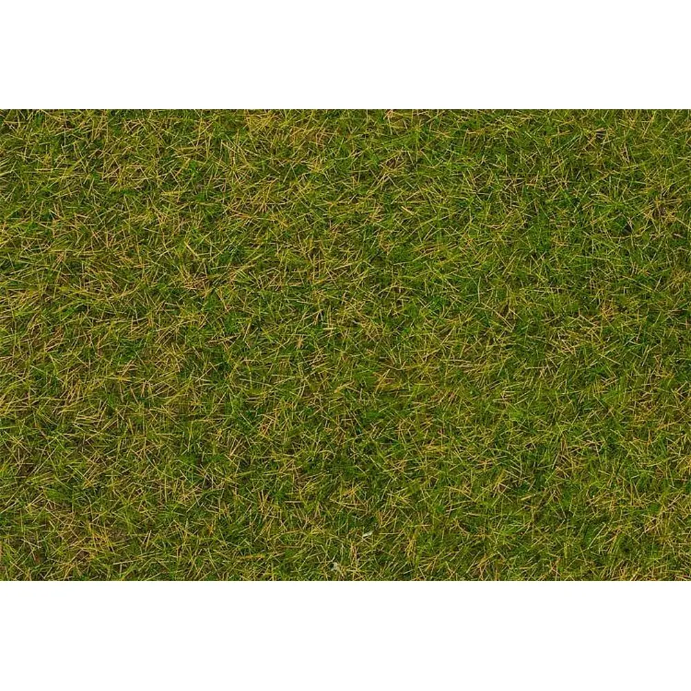 Fibres de flocage herbes sauvages, prairie début d'été, 4 mm, 30g FALLER 170206