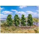 4 chênes colonnaires Faller 181577 - HO 1/87 - 90 à 110 mm