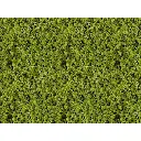 Flocage - Floral - Vert clair - HEKI 1550 - Échelle universelle - 280 x 140 mm