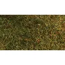 Tapis - Herbes sauvages - Savane - HEKI 1574 - Échelle HO / TT / N - 280x140 mm