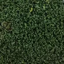 Flocage - Feuillage Vert Foncé - HEKI 1562 - Échelle Universelle - 200 mL