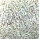 Flocage - Feuillage fleurissant beige - HEKI 1565 - Échelle Universelle - 200mL