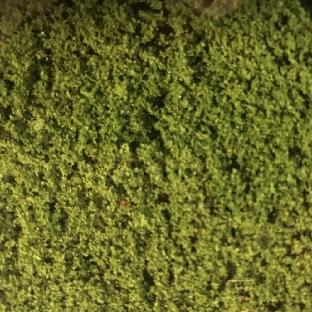 Flocage - Vert clair - HEKI 1600 - Échelle Universelle - 280x140 mm