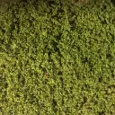 Flocage - Vert clair - HEKI 1600 - Échelle Universelle - 280x140 mm